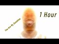 Lebron James You Are My Sunshine 1 Hour