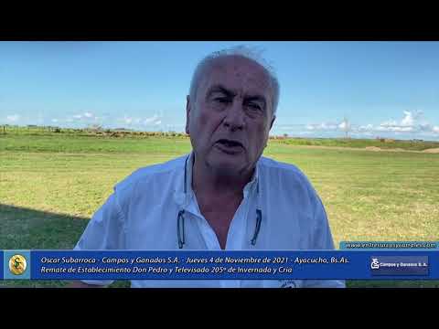 04-11-21 - Oscar Subarroca - Campos y Ganados S.A. - Remate Televisado en Establecimiento Don Pedro
