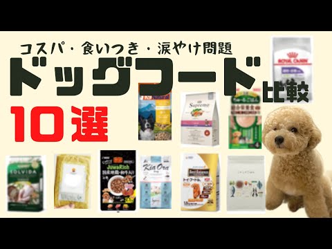 子犬は大型のドッグフードを食べても大丈夫ですか?