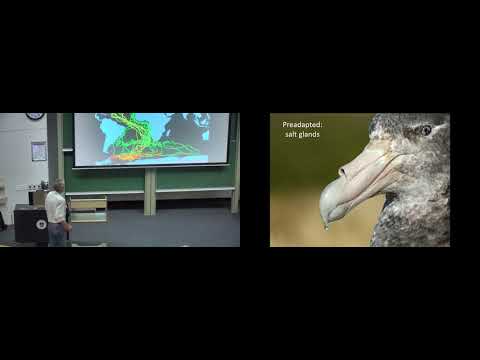 African ornithology 2 Are seabirds really as threatened as we think? – Peter Ryan