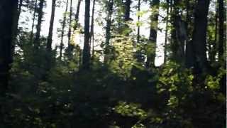 Trashcan Sinatras - Country Air