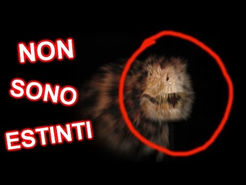 Operazioni su eliminazione di posti di pigmentary Eliminazione laser di lentiggini in Volgograd
