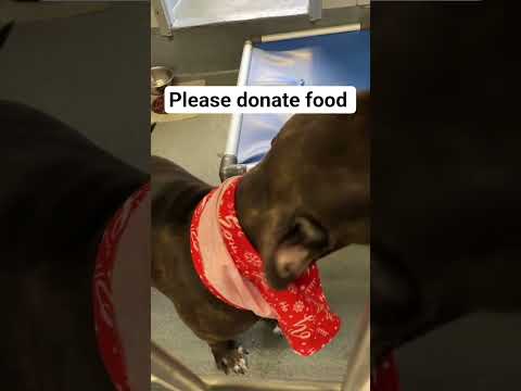 please donate food link in our bio 😢 #NYC#LosAngeles#Chicago#Texas#Florida#california