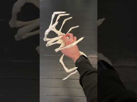 3D printed face hugger from Alien movie