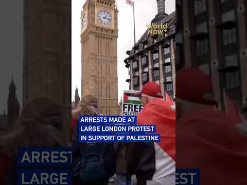 Arrests made at large London protest in support of Palestine #worldnow