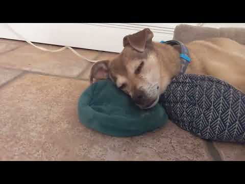 Item video thumbnail