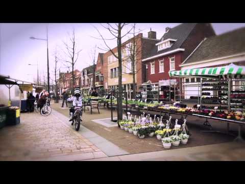 MXGP of the Netherlands 2013 - Postcard - Motocross