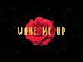 Avicii - Wake Me Up (Mellen Gi & Tommee Profitt Remix) [Lyrics]