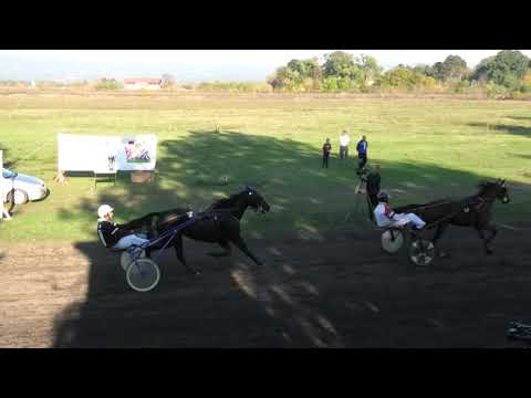 Trka "11 oktobar-Oslobođenje grada" 20.10.2021 Gibson Boko - Miodrag Pantić