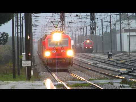 Comboio de Contentores n.º 80384 - Poceirão