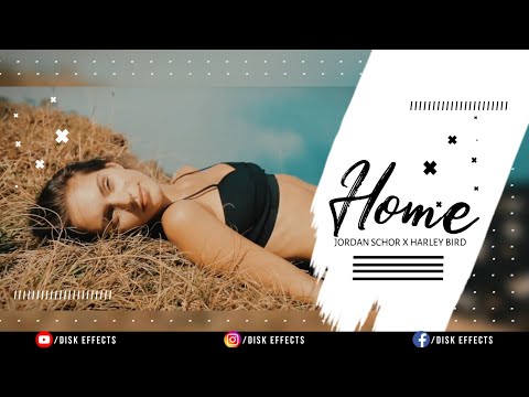 Home - Jordan Schor X Harley Bird