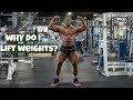 Why Do I Lift?