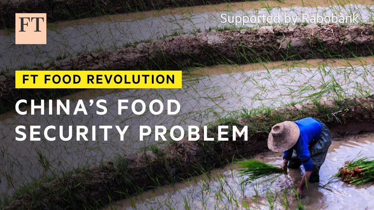 China’s intensifying focus on food security | FT Food Revolution