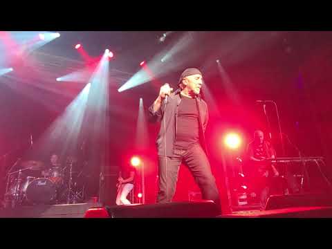 Harlequin - I Did It For Love