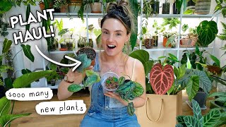 HUGE Houseplant Haul 🌱 Plants I Got From RHS Malvern Spring Festival