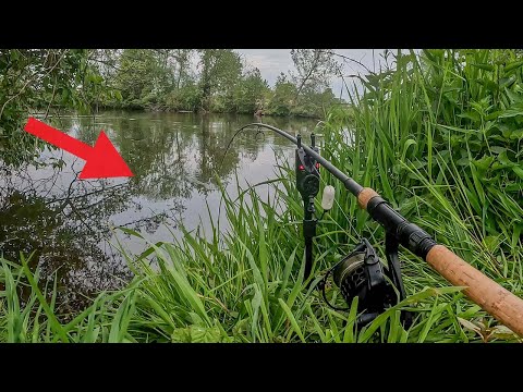 Eel fishing on the small river | The RiverVlog Episode 39