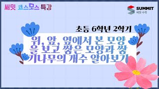 [써밋코스모스 특강] 6학년2학기 위, 앞, 옆에서 본 모양을 보고 쌓은 모양과 쌓기나무의 개수 알아보기
