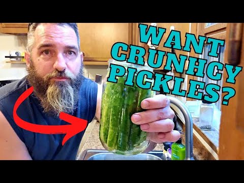4 Easy Ways to Make your PICKLES Crunchy!!!!!