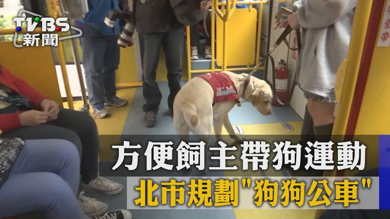 方便飼主帶狗運動 北市規劃「狗狗公車」