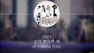 2NE1 - 살아 봤으면 해 (If I Were You) [HAN+ROM+ENG]