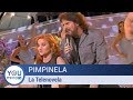 Pimpinela - La Telenovela