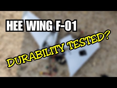 Hee Wing F-01 a.k.a Diatone Ripper R690 Maiden Flight.