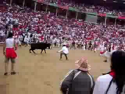 (SO DUMB) Bull Stepping on people(idiots)  Must hurt- Pamplona S. Fermin Run Bulls Encierro 2008 Ricardo Gomez