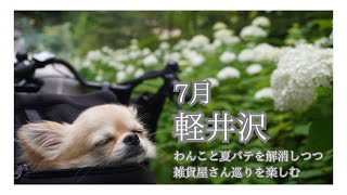 旅行//軽井沢2日目！わんこと巡る雑貨屋さん