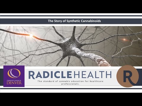 The Story of Synthetic Cannabinoids