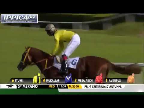 STUKE (GER) - Merano 24.09.2017