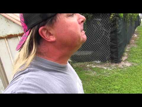 download lagu mp3 mp4 Nabisco Complaints, download lagu Nabisco Complaints gratis, unduh video klip Nabisco Complaints