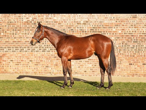 Lot 108 is a colt by Malmoos ex Heavens Girl