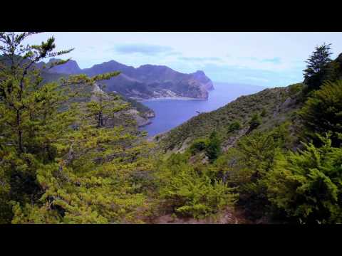 Experience Robinson Crusoe Island