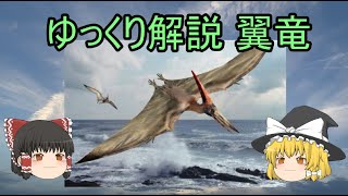ゆっくり解説 翼竜