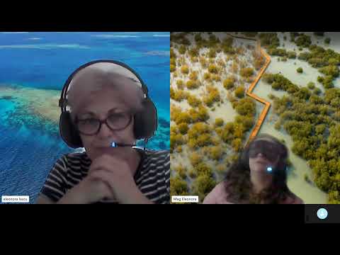 HIPNOZA REGRESIVA.RO-2162.Mihaela,mintea -parte a constiintei,energie infinita E LASCU coord si ELA