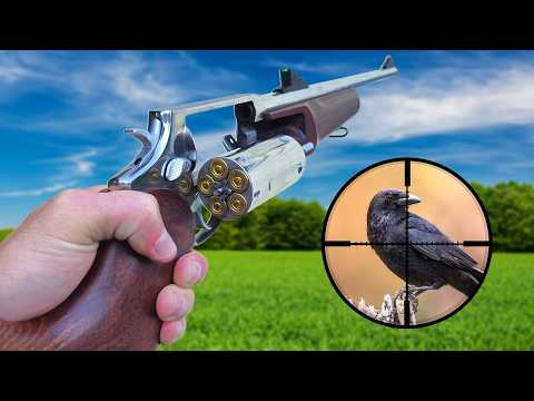 Crow Hunting with a Revolver Shotgun! (.410)