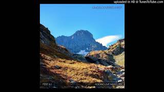 Feist + Kevlar - Undiscovered First
