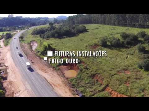 OURO FINO EM FOCO Nº 01 - 30 DE MAIO DE 2017