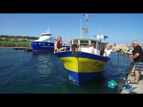 Divin´Giens - Presqu´île de Giens - Hyères