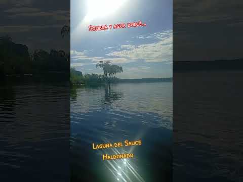 Laguna del Sauce Maldonado Uruguay