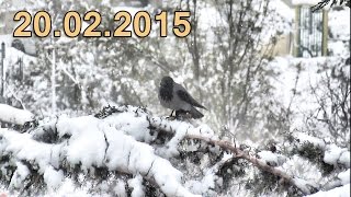 preview picture of video 'שלג בירושלים 20.02.2015 / Snow in Jerusalem 2015 / Снег в Иерусалиме'