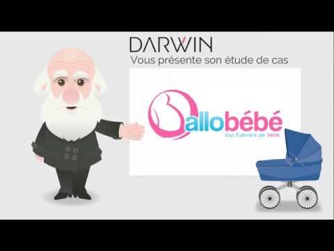 Cas client Darwin -stratégie SEA allobébé.fr