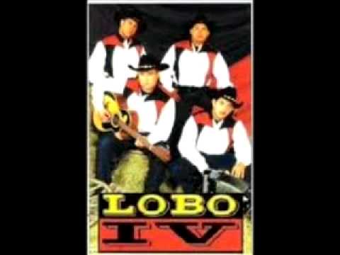 LOBO IV - Mujer