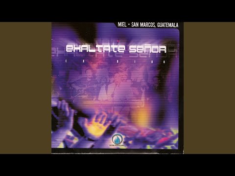 Cristo Esta Aqui - Miel San Marcos