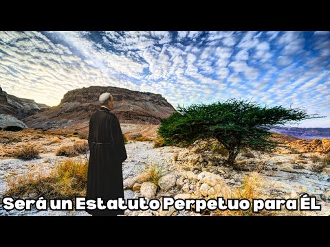 Las VESTIDURAS de los SACERDOTES de ISRAEL | Éxodo 28 | Parte 2