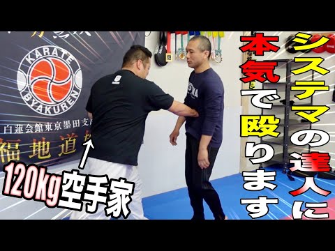 【攻撃が絶対効かない】システマの達人に【120kgの空手家】が本気のパンチしたら、、、