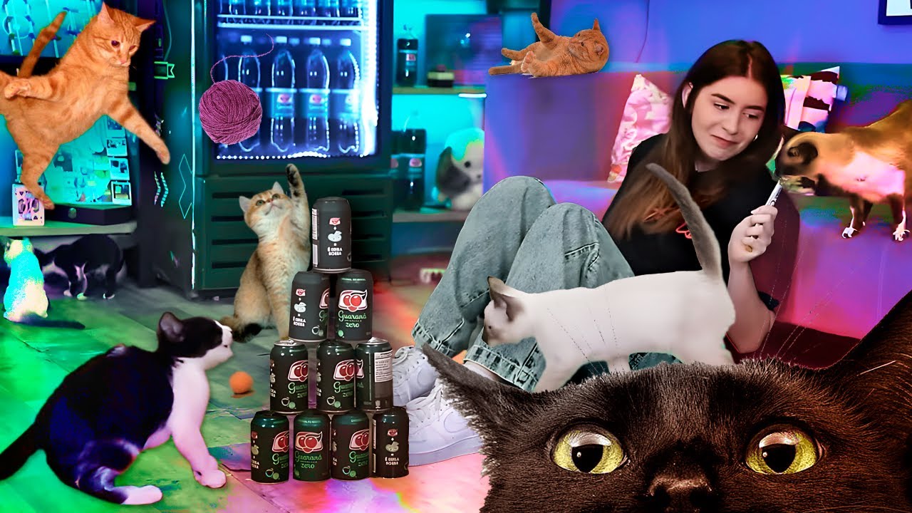 CLIQUE AQUI PARA CURAR A TRISTEZA | Sofia Santino é Coisa Nossa