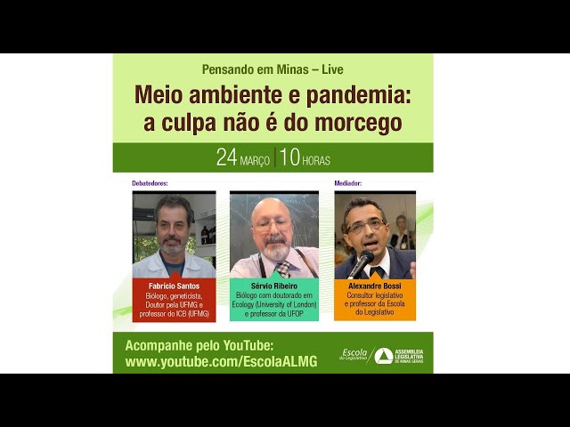PJ 2021 - VÍDEO 26 - Meio ambiente e pandemia: a culpa não é do morcego