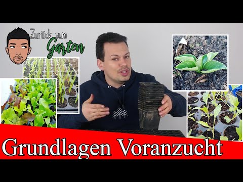 , title : 'Alles über die Voranzucht von Gemüse - Jungpflanzen richtig vorziehen'