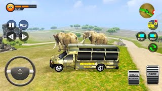 Wildlife Safari Park and Tours in Animal Park- Car Simulator #22 AndroidGameplay